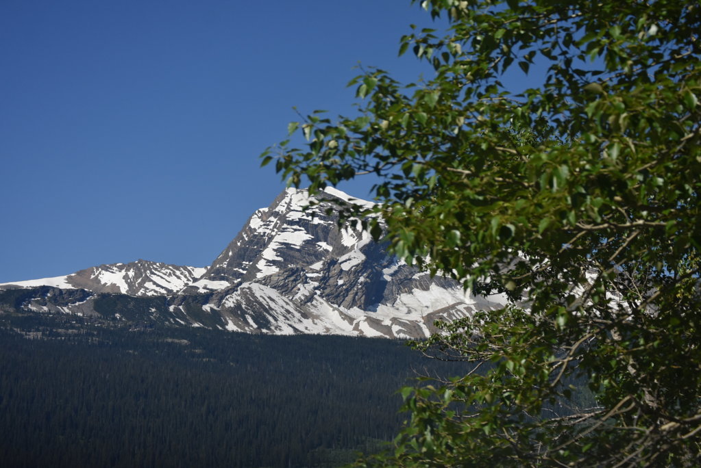 DSC_0024.jpg