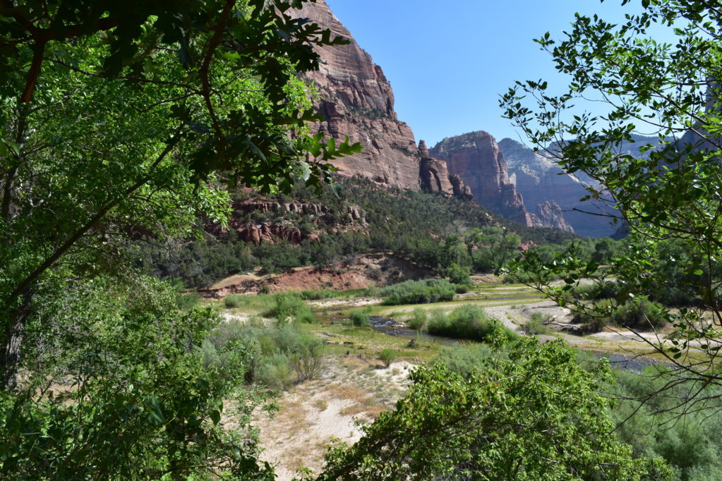 DSC_0025.jpg