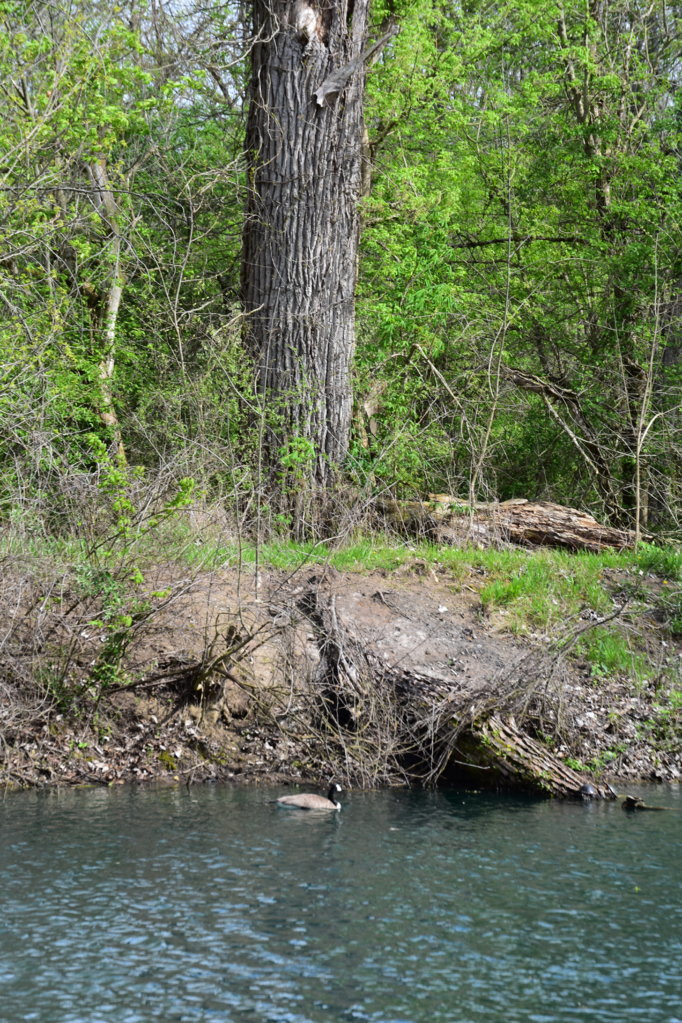 DSC_0026.jpg