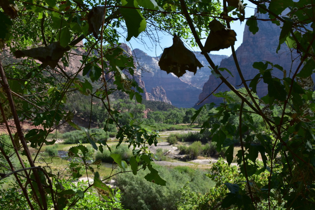 DSC_0026.jpg