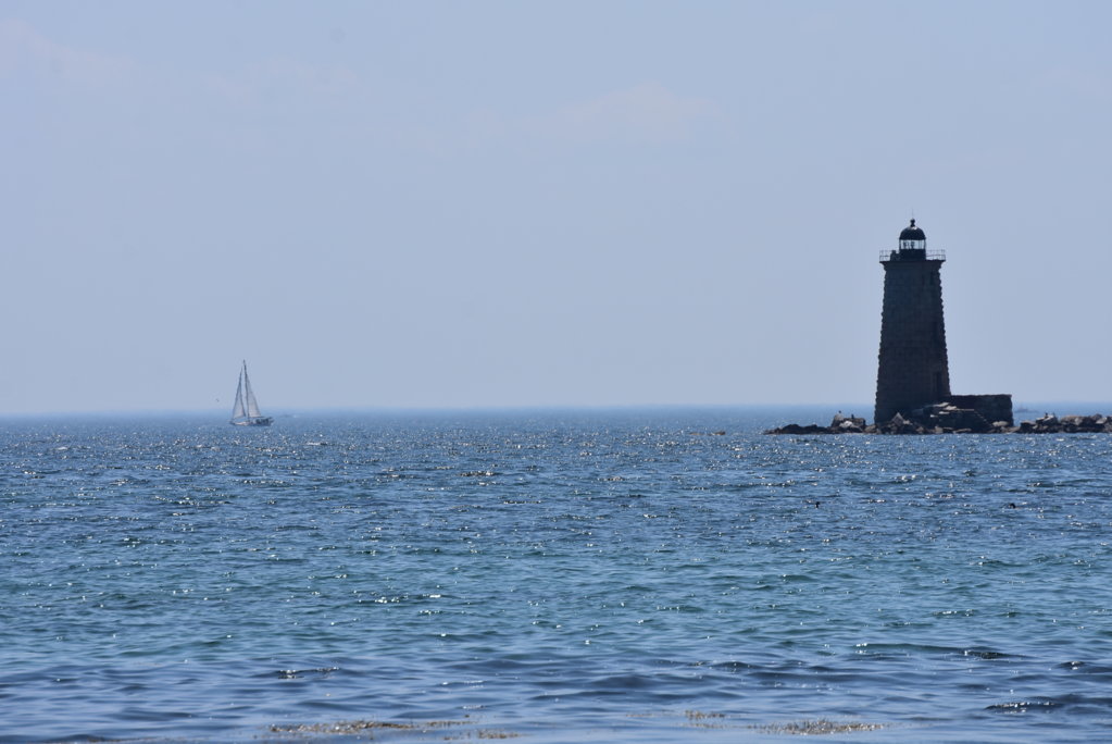DSC_0029.jpg