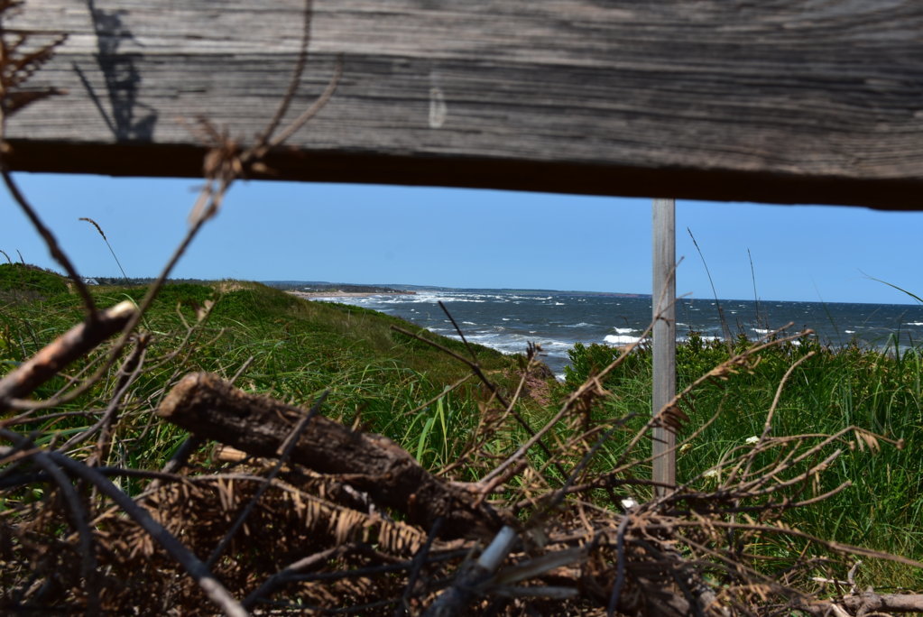 DSC_0032.jpg