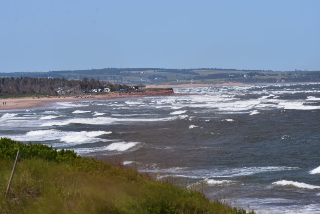 DSC_0033.jpg