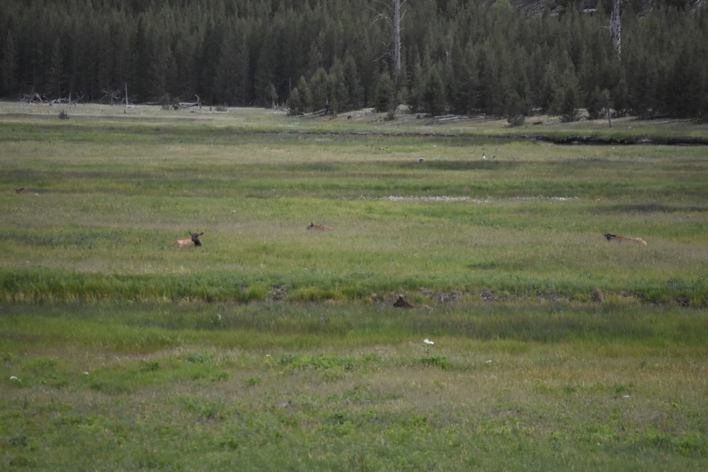 DSC_0034.jpg
