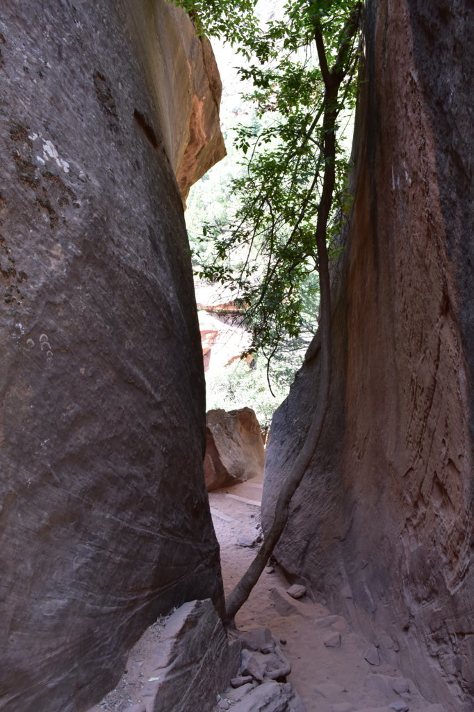 DSC_0035.jpg