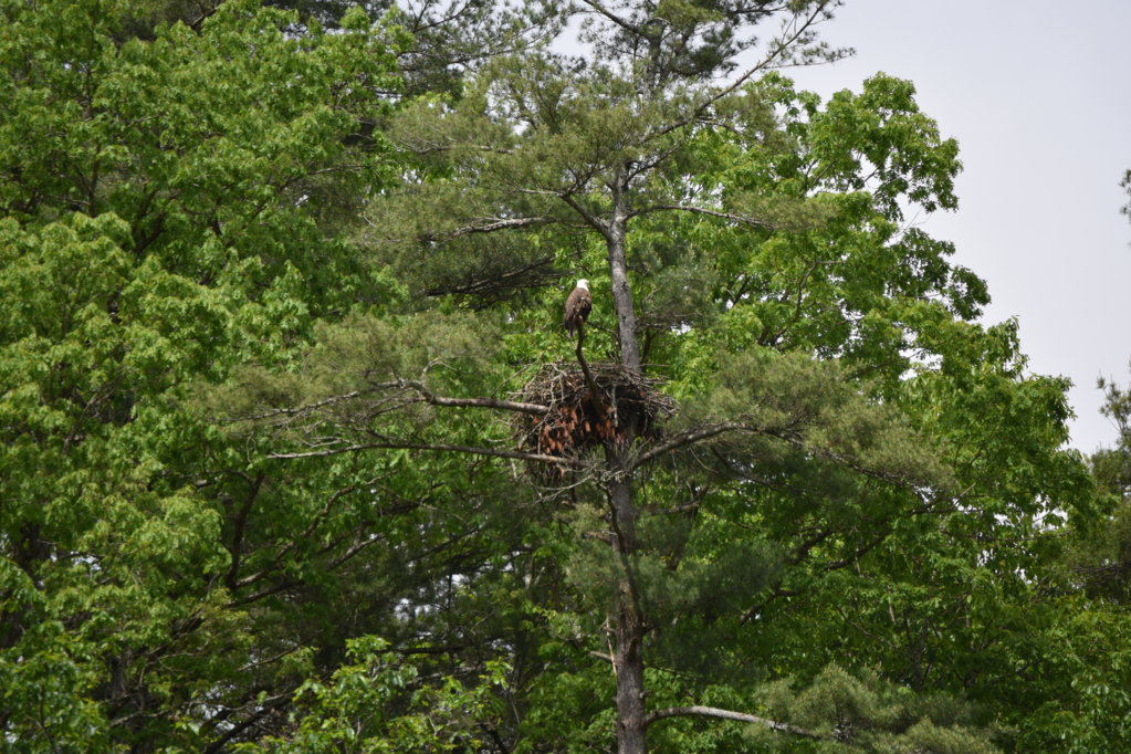 DSC_0036.jpg