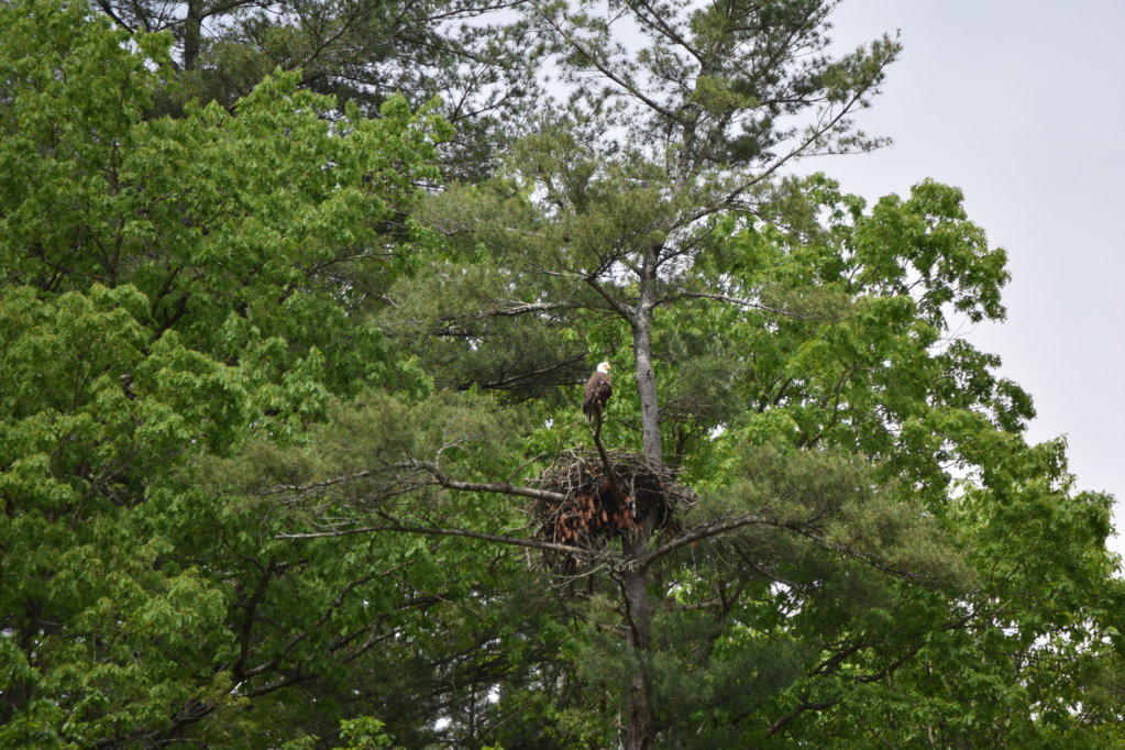 DSC_0037.jpg