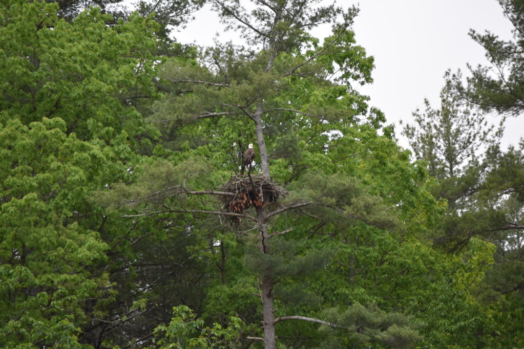 DSC_0038.jpg