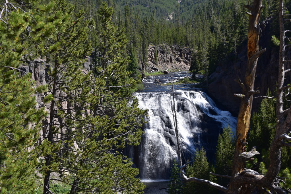 DSC_0038.jpg