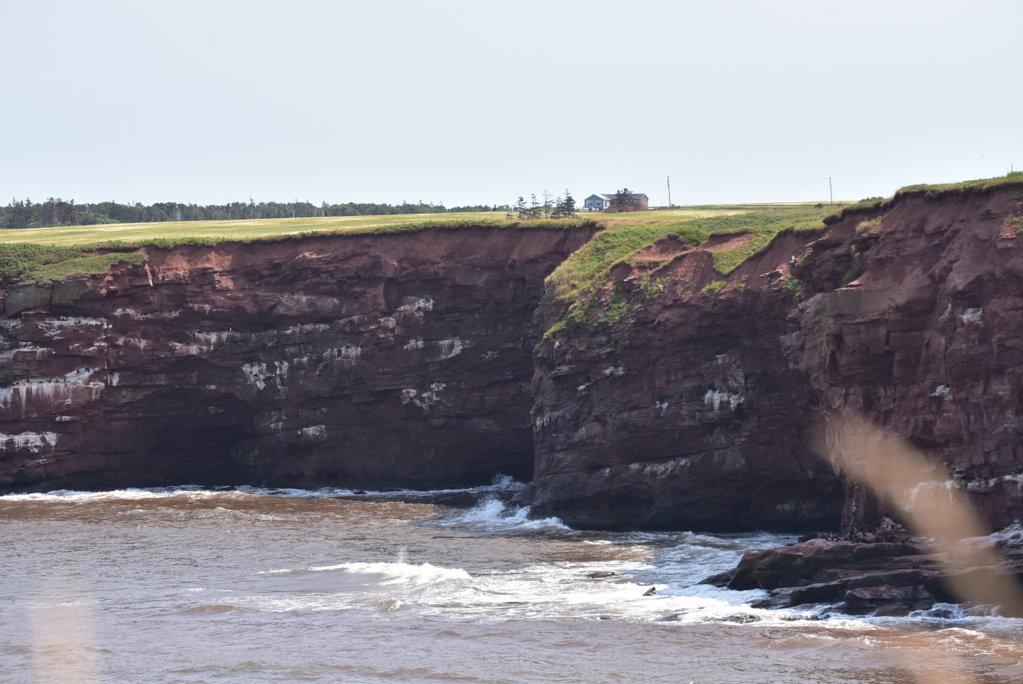 DSC_0041.jpg