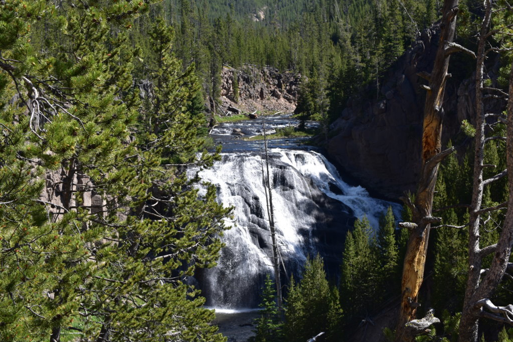DSC_0042.jpg