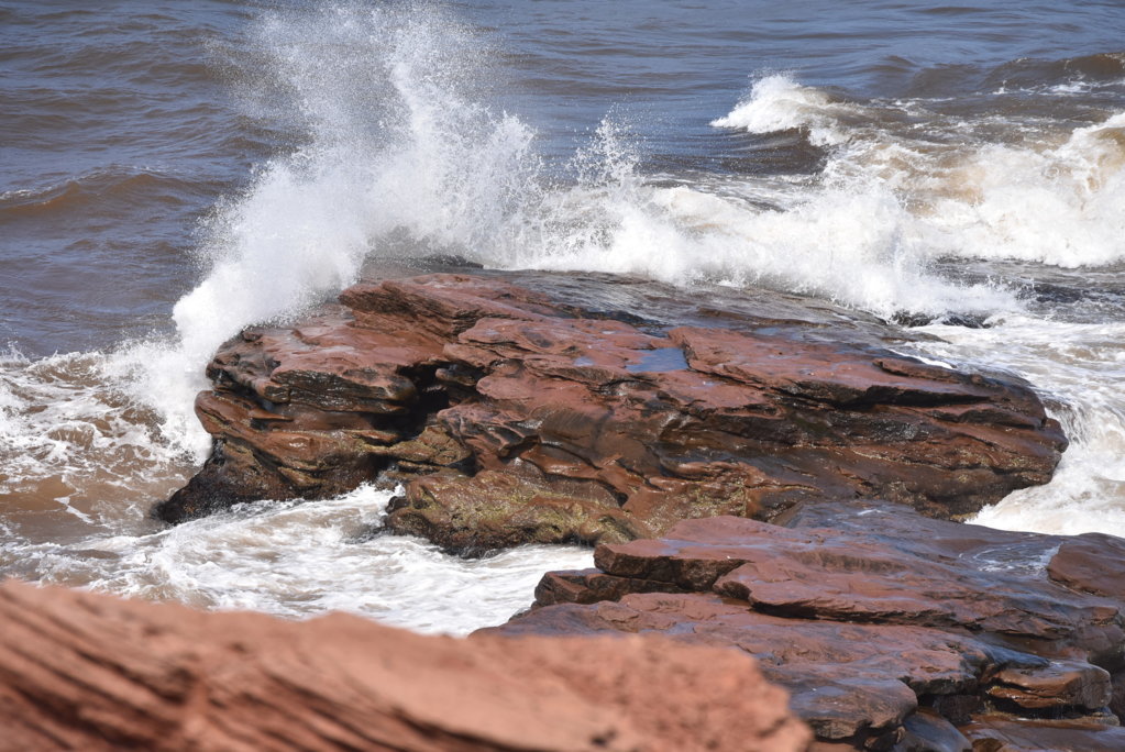 DSC_0047.jpg