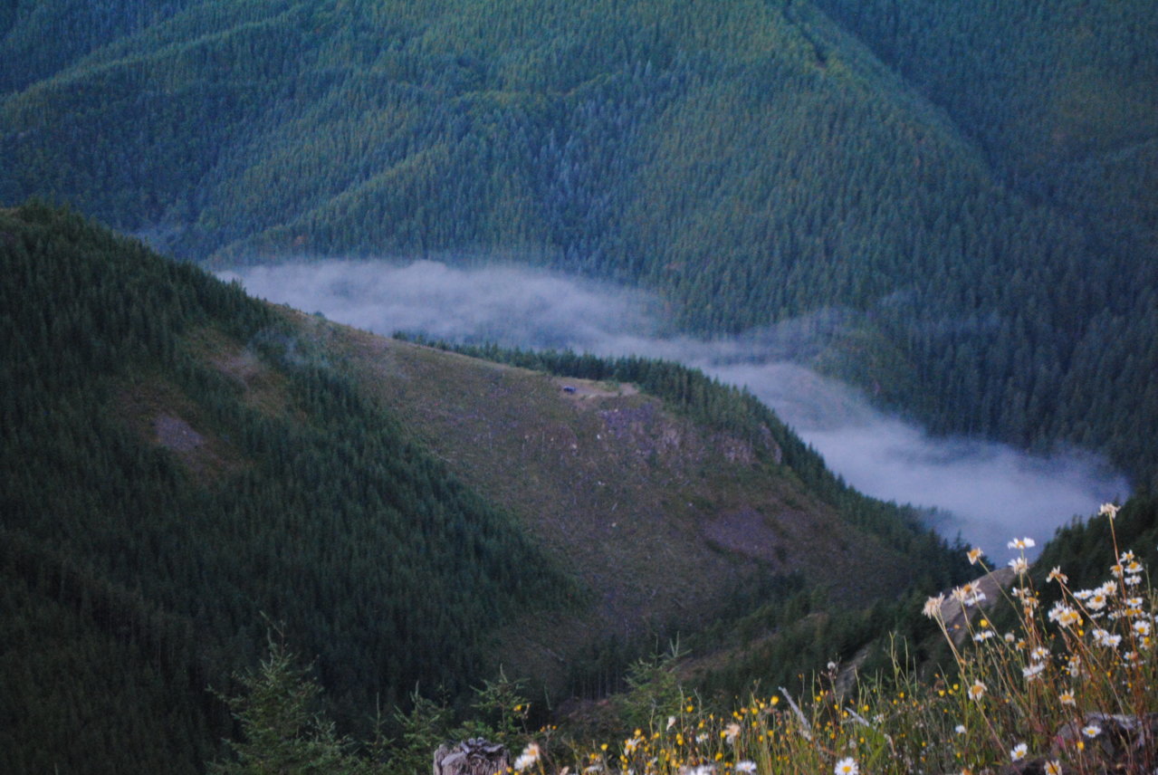 DSC_0049.jpg