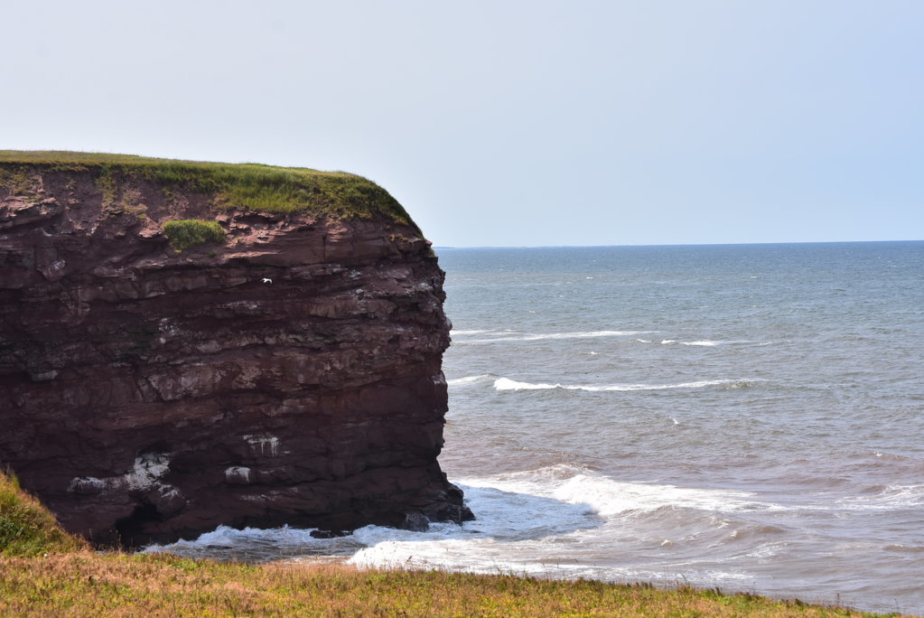 DSC_0050.jpg