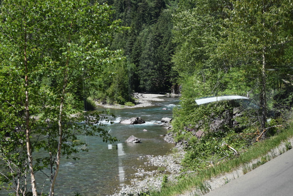 DSC_0052.jpg