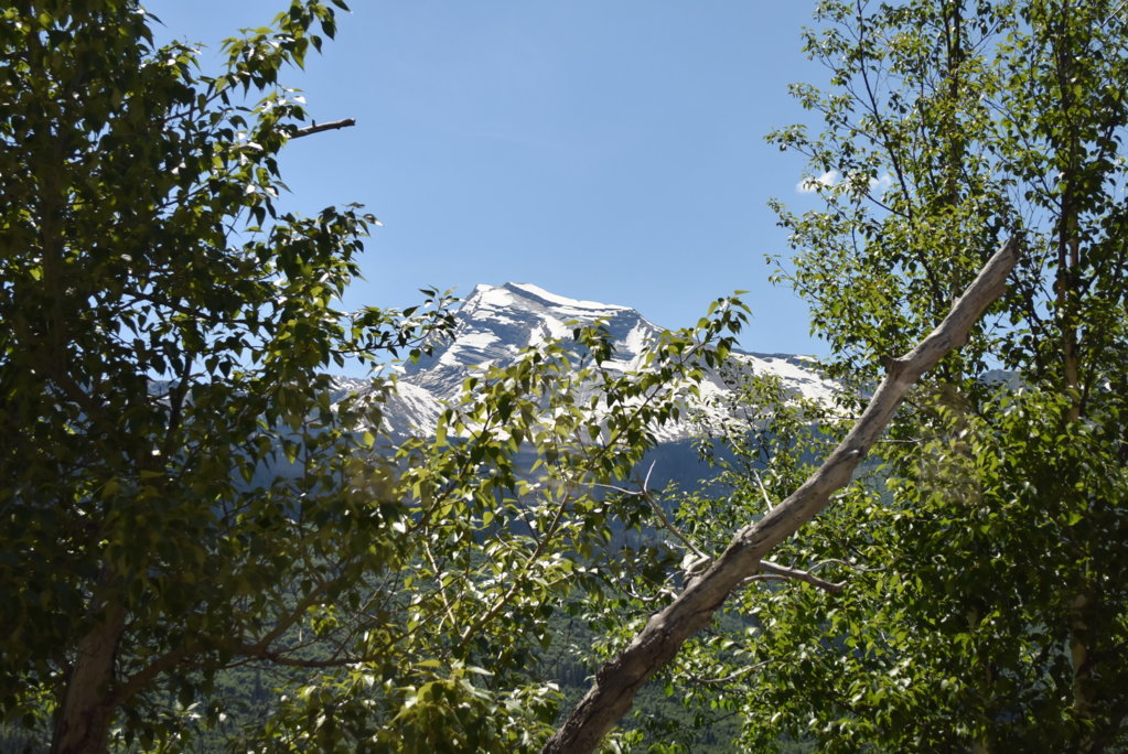 DSC_0058.jpg