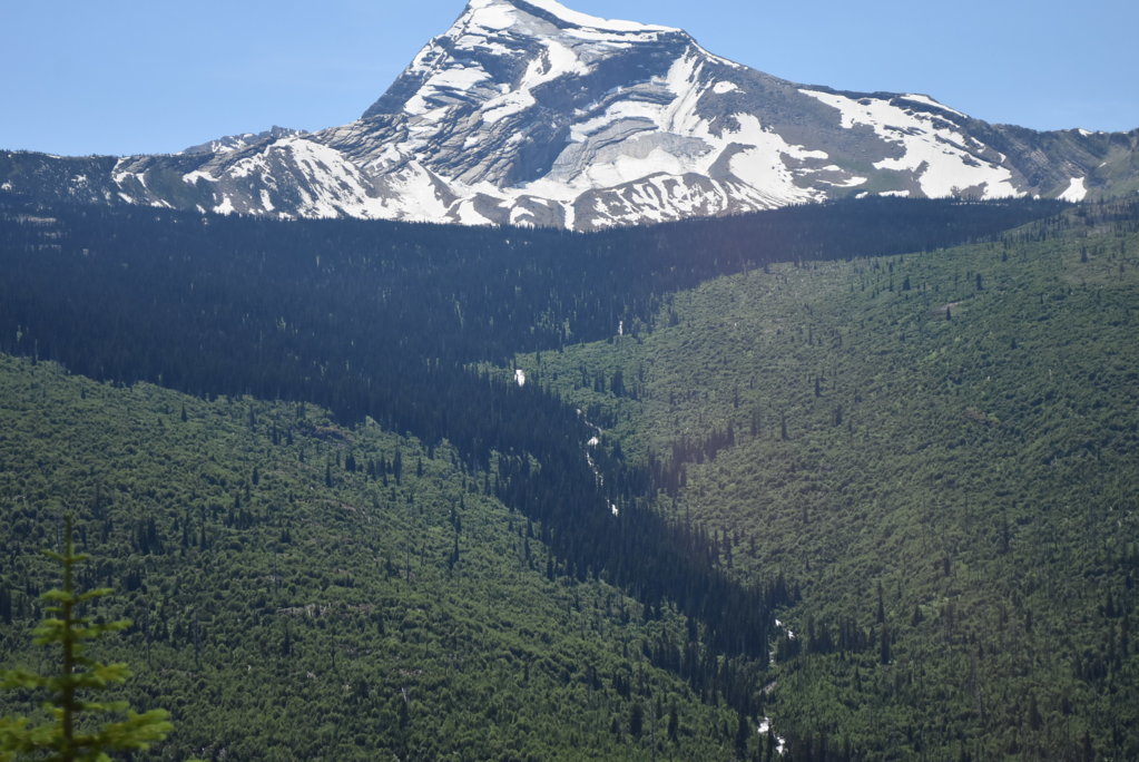 DSC_0059.jpg