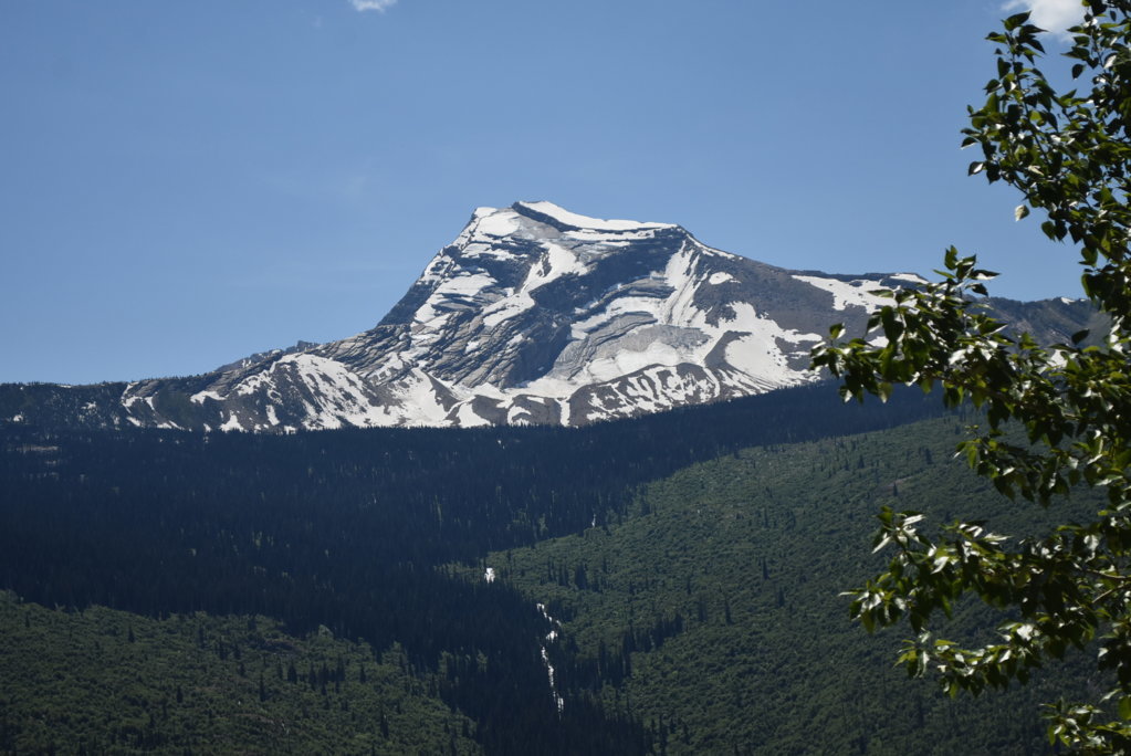 DSC_0061.jpg