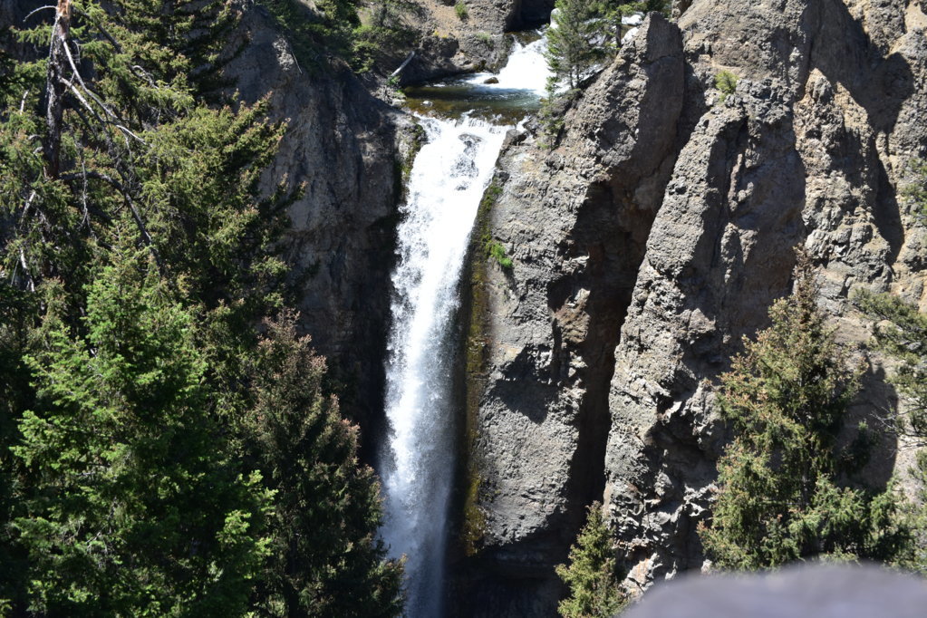DSC_0064.jpg