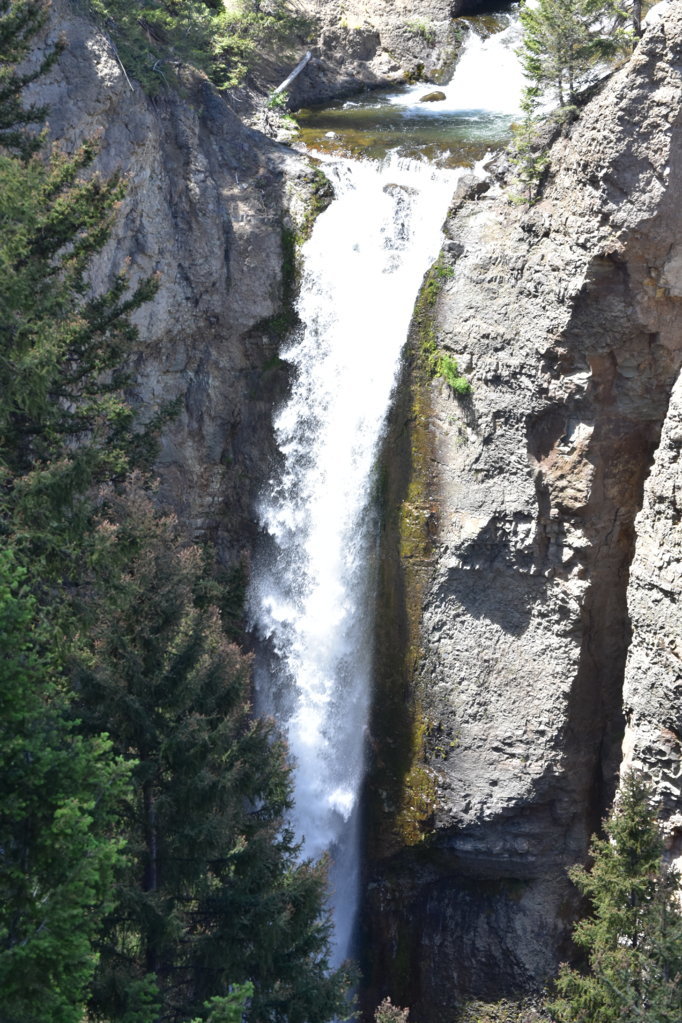 DSC_0065.jpg