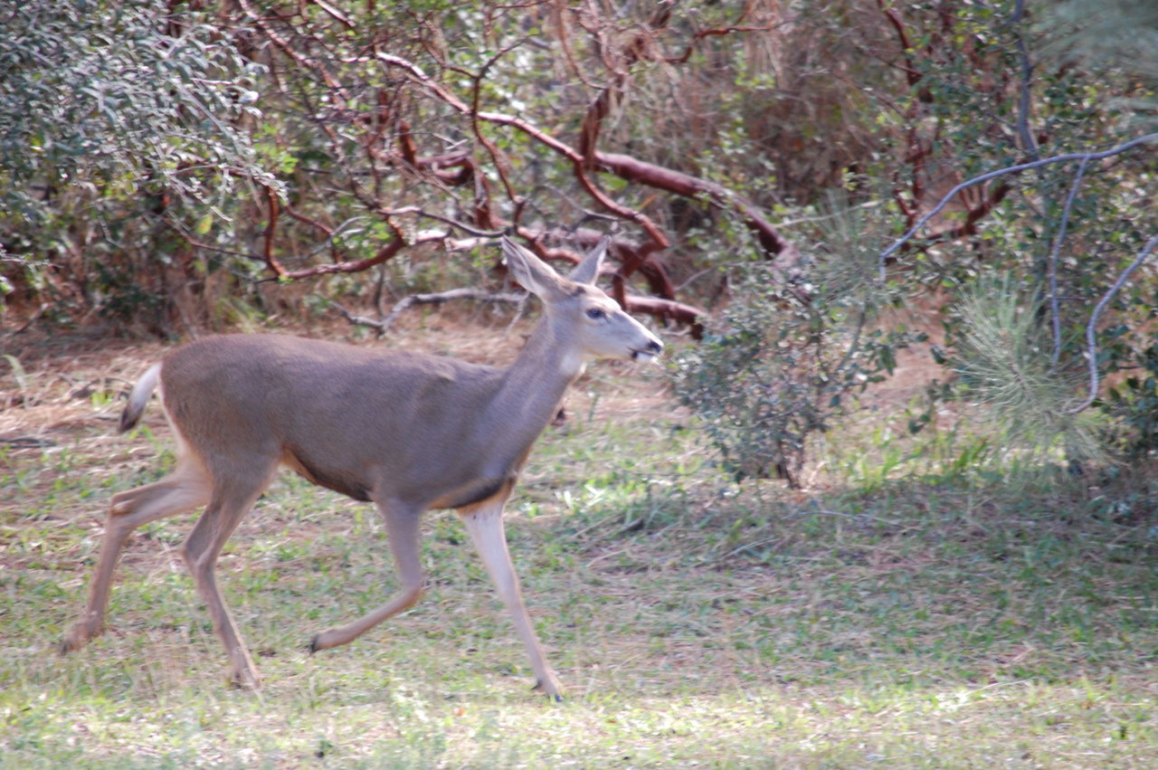 DSC_0065.jpg