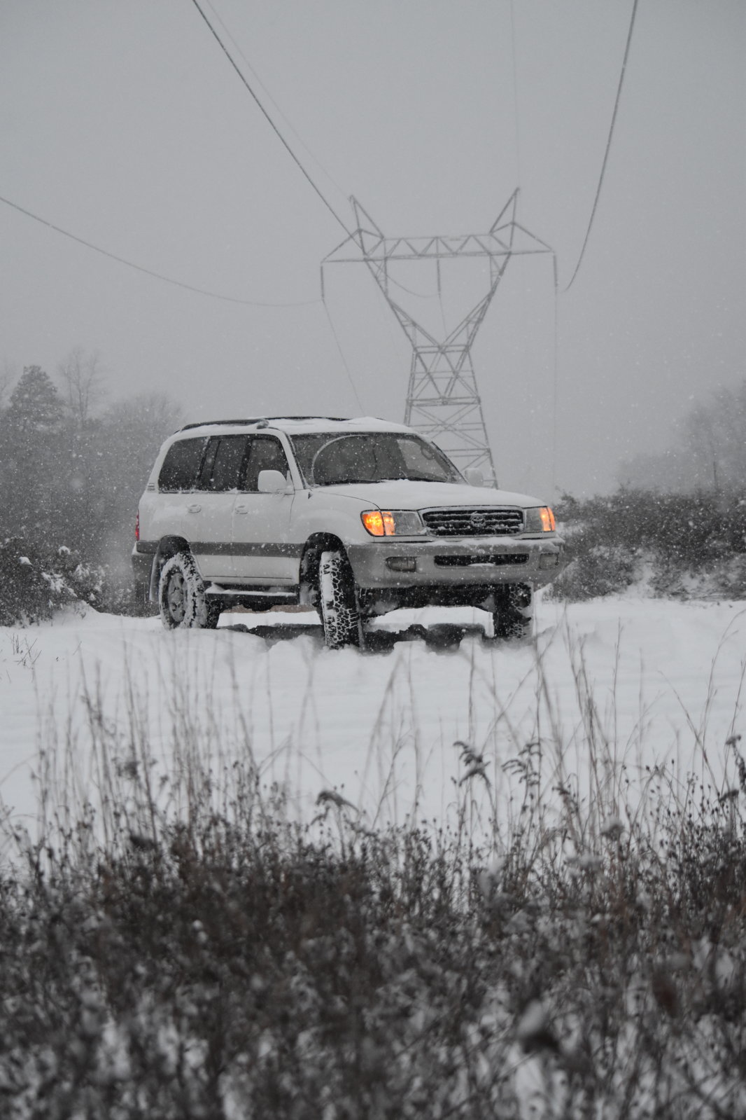 DSC_0066.jpg
