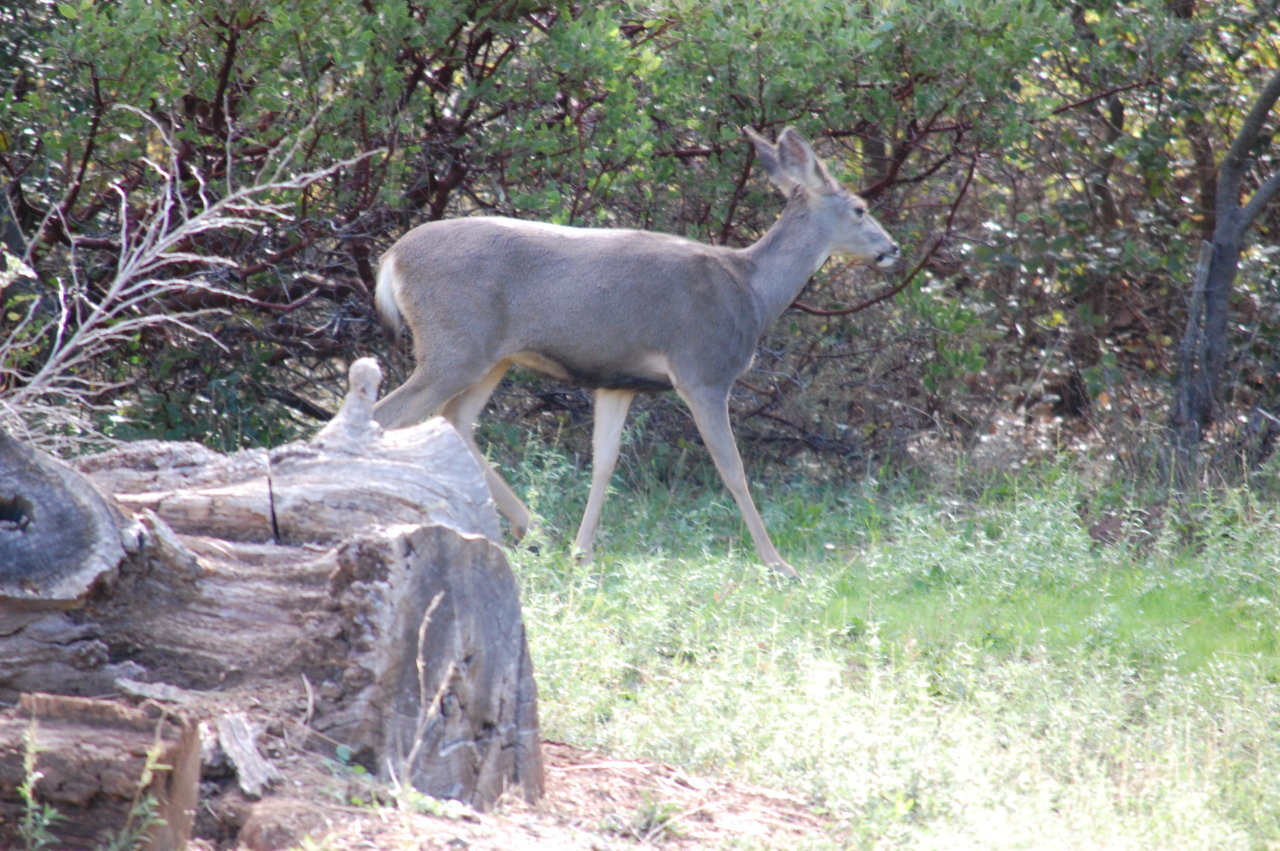 DSC_0067.jpg