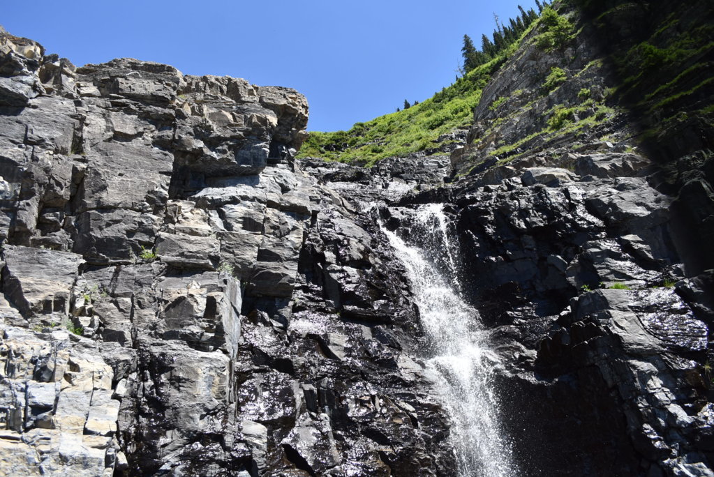 DSC_0071.jpg