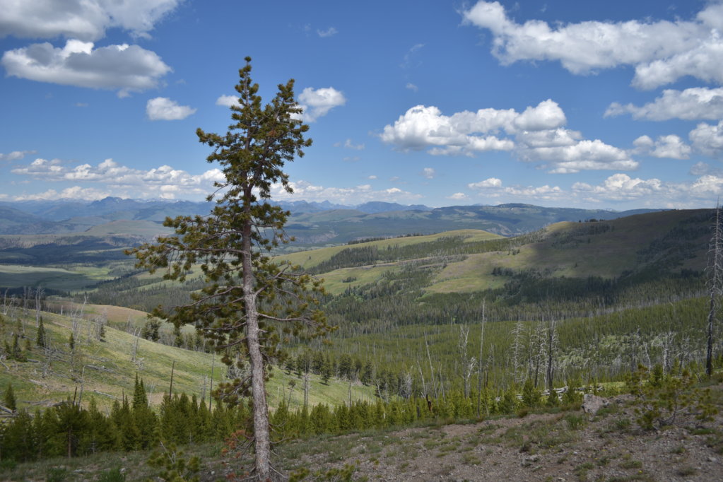 DSC_0073.jpg