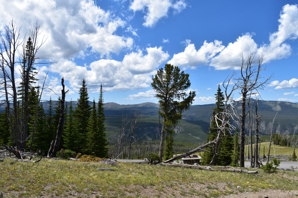 DSC_0075.jpg