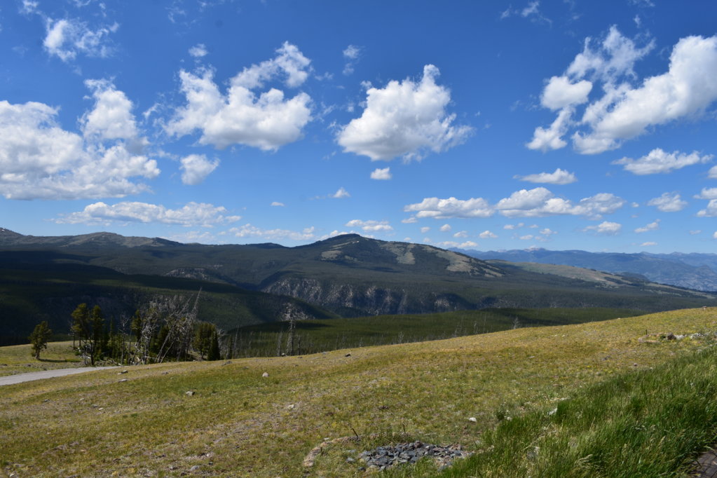 DSC_0077.jpg