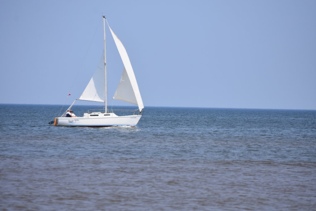 DSC_0097.jpg