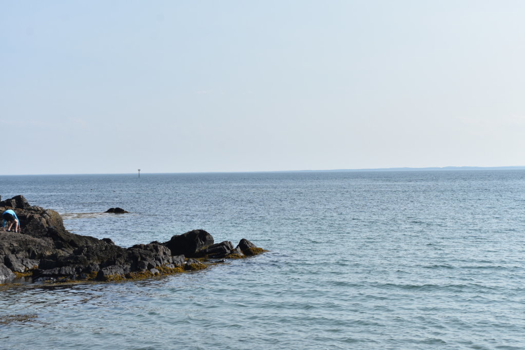 DSC_0107.jpg