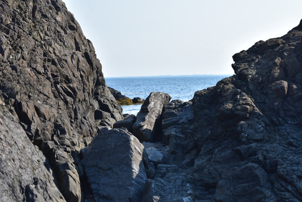 DSC_0110.jpg