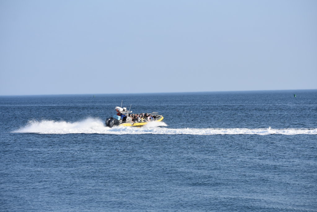DSC_0118.jpg