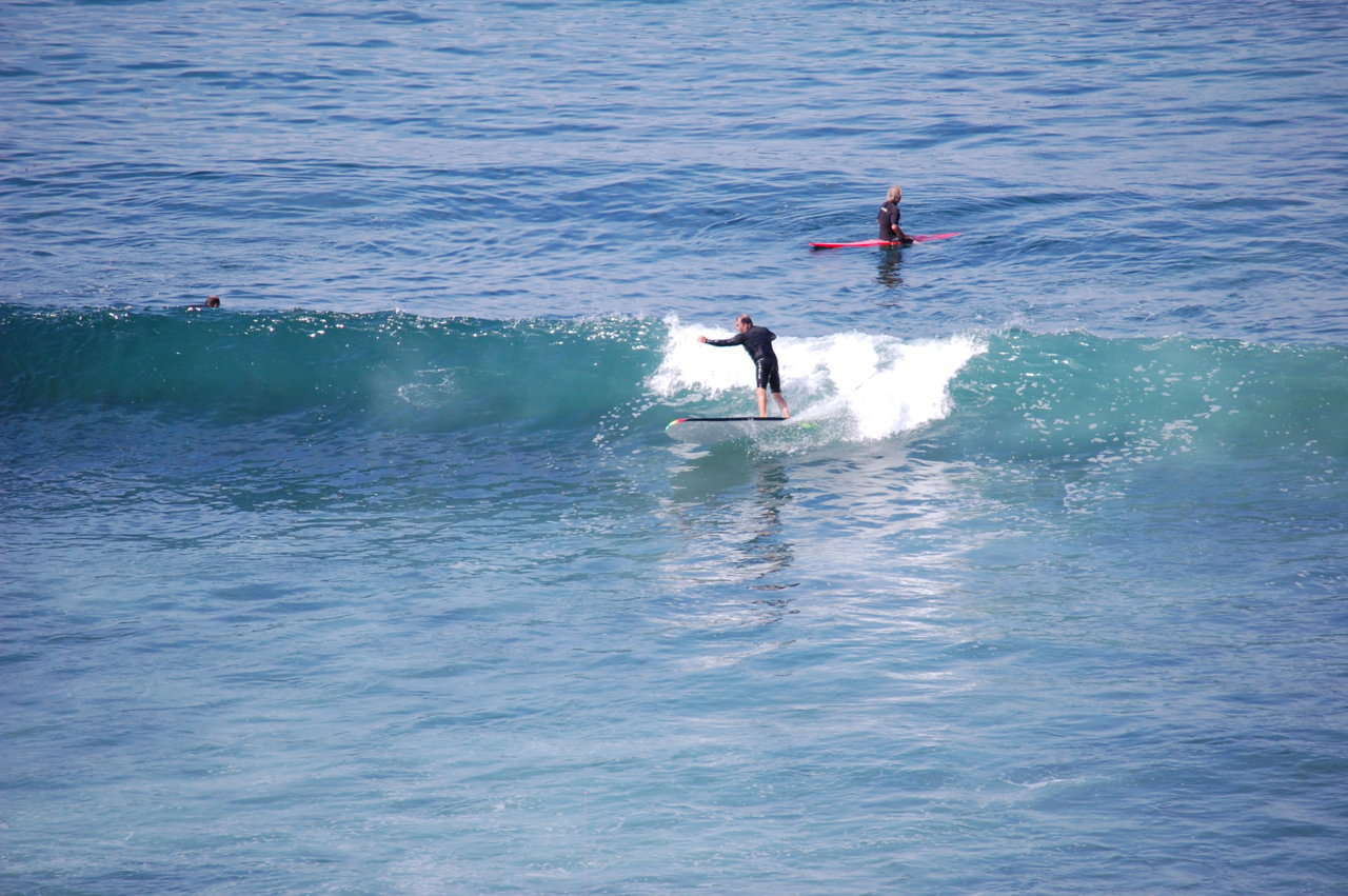 DSC_0169.jpg