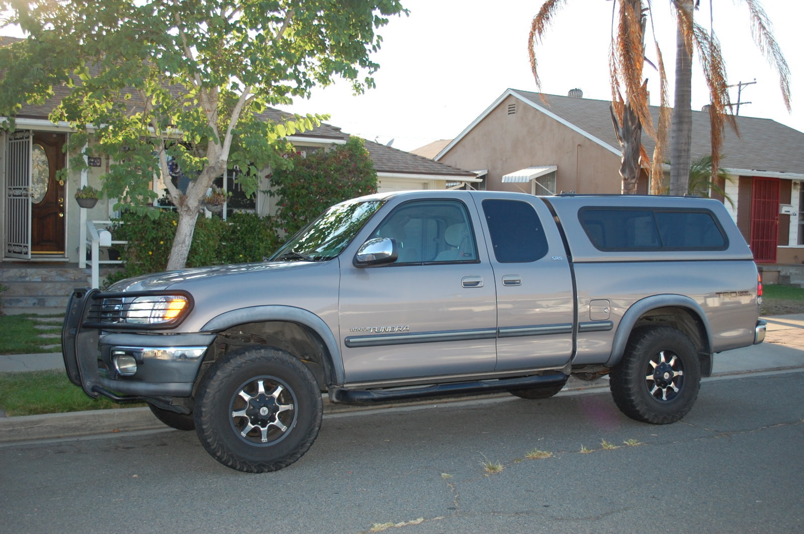 DSC_0175.jpg