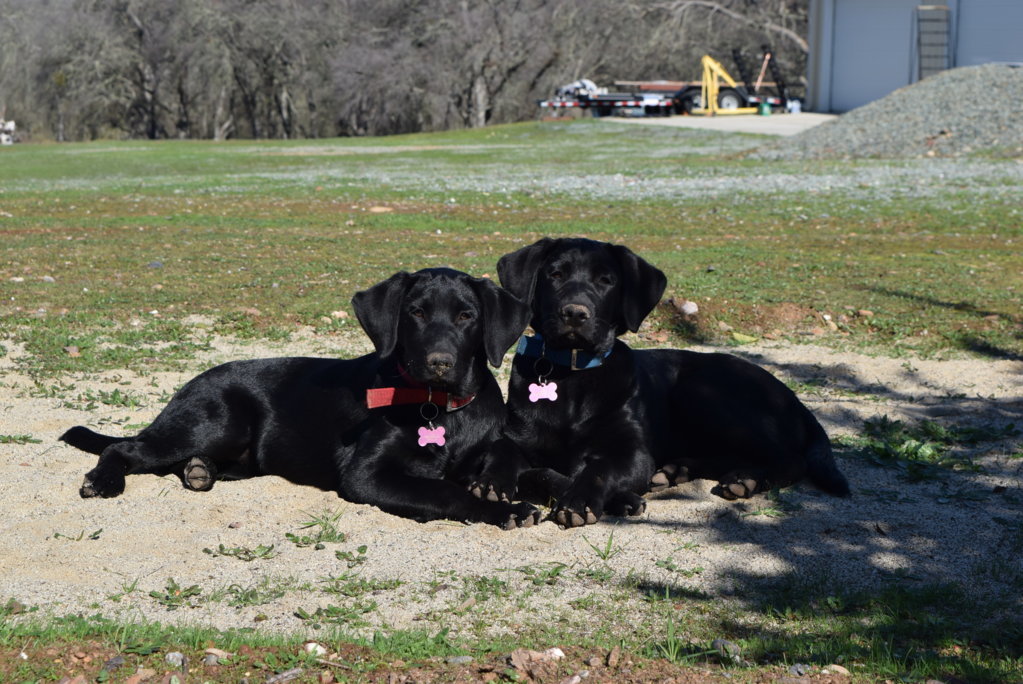 DSC_0191.jpg