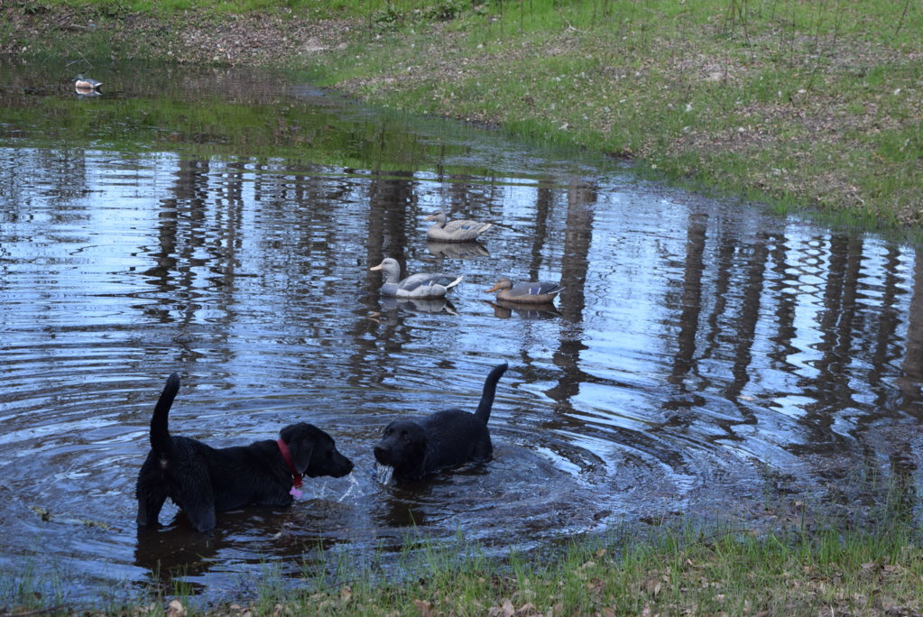 DSC_0217.jpg