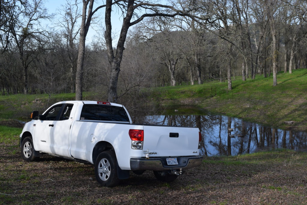 DSC_0218.jpg