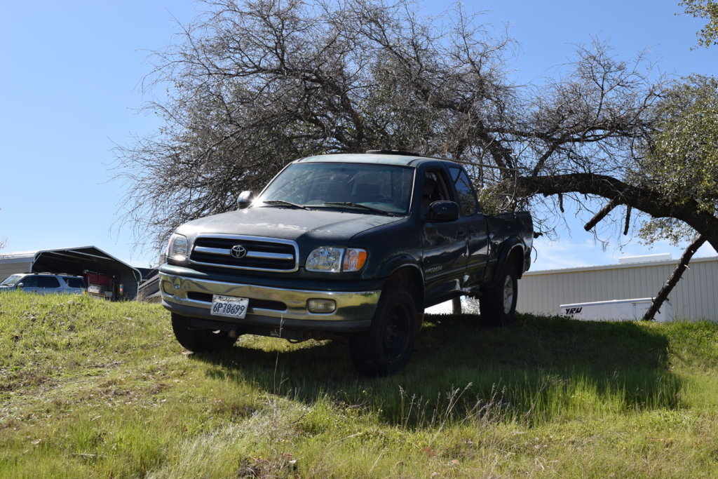 DSC_0414.jpg