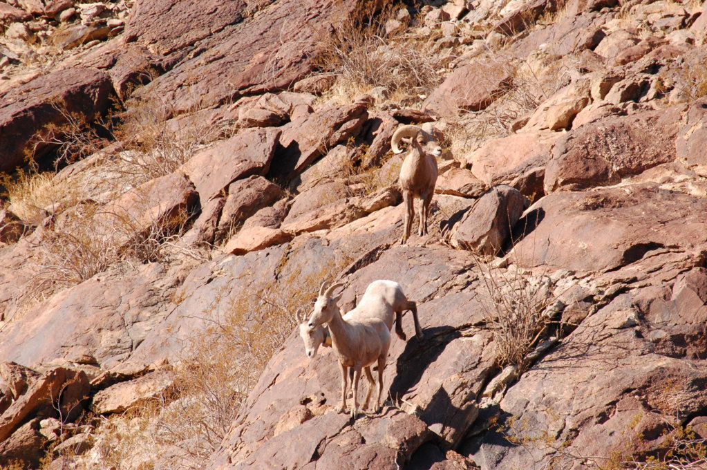 DSC_0546.jpg