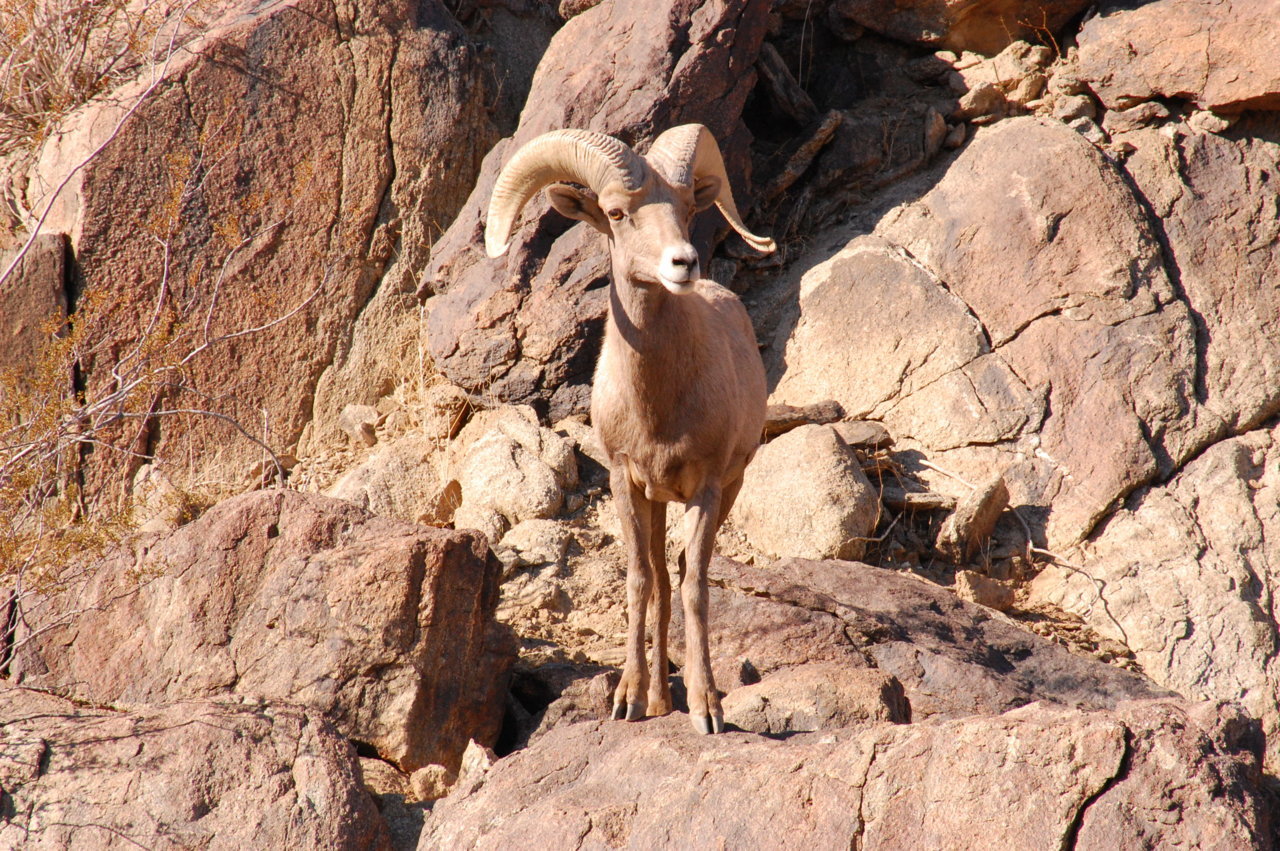 DSC_0578.jpg