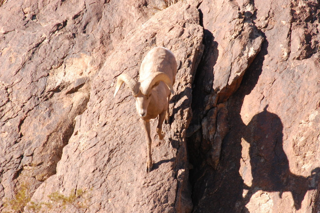 DSC_0581.jpg