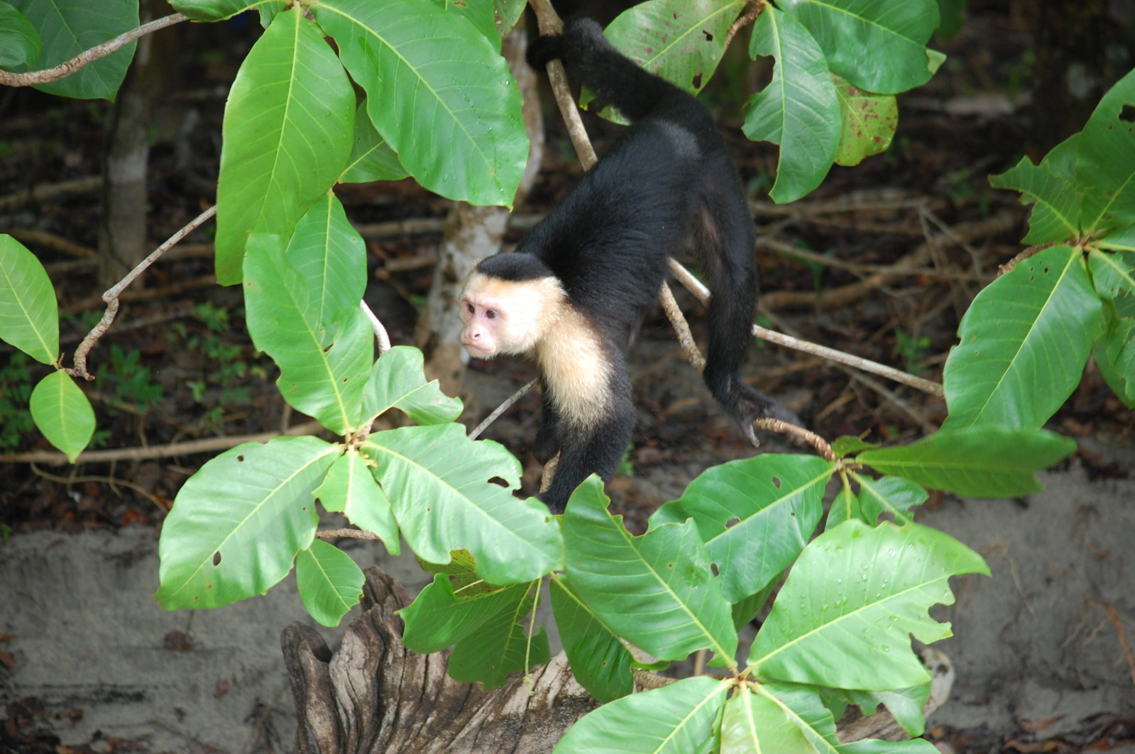 DSC_0596.jpg