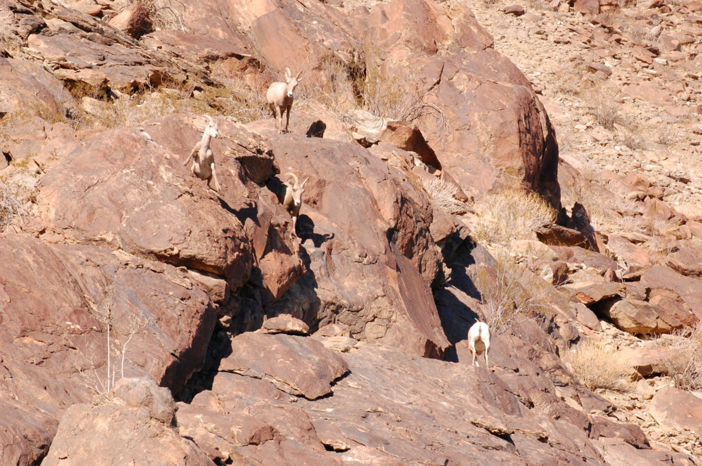 DSC_0616.jpg