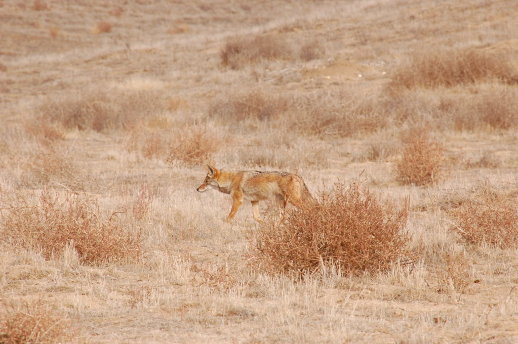 DSC_0647.jpg