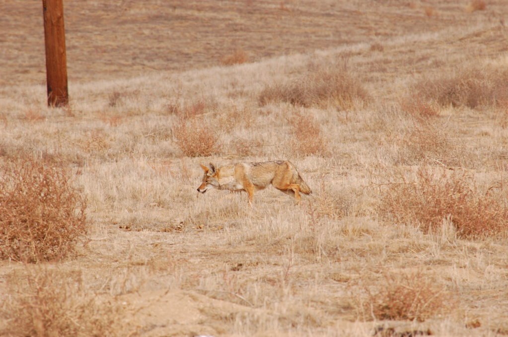 DSC_0648.jpg
