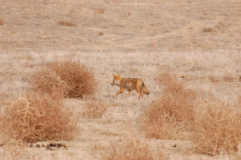 DSC_0650.jpg