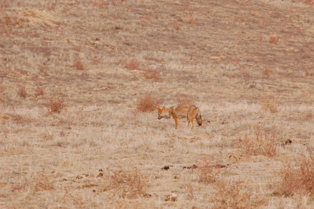 DSC_0651.jpg